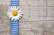 Margerite und blaue Schleife vor Holzhintergrund