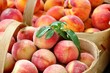 Basket of peaches