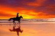 Silhouette of  girl skipping on a horse  on a sunset