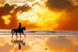 Silhouette of  girl skipping on a horse  on a sunset