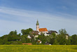 Kloster Andechs über Frühlingswiese