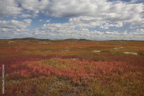 Photo: Rural field Rural field