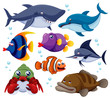 illustration of fish sea vector