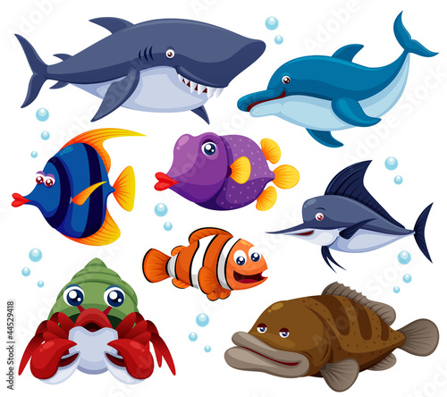 Vector: illustration of fish sea vector illustration of fish sea vector