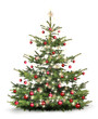Geschmückter Chtistbaum