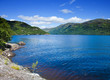 Scotland, summer landscape