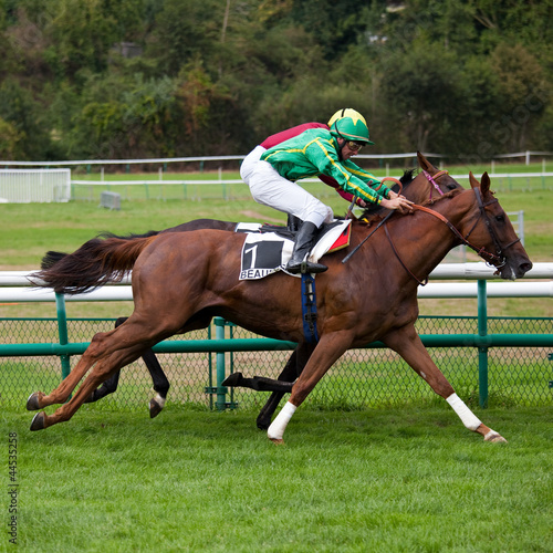 Photo: Course hippique, cheval en tête Course hippique, cheval en tête