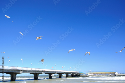 Photo: Beach Beach