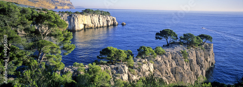 Photo: cassis cassis