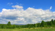 timelapse summer nature scene clouds above forest