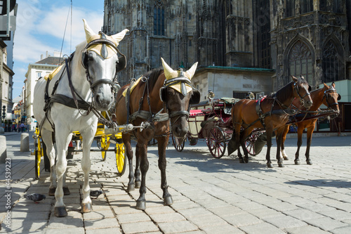 Photo: Horse-drawn Carriage in Vienna Horse-drawn Carriage in Vienna