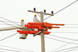 An electrical power utility worker in a bucket fixes the power l
