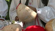 The art of making totemic masks.Making a gourd mask .