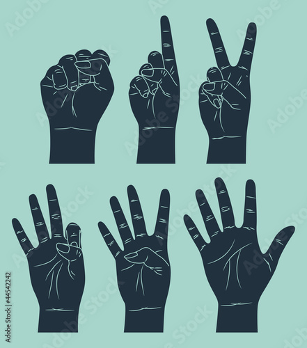 Vector: counting hand counting hand
