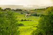 Tuscany landscape near San Gimignano, Italy