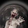 Another Zombie