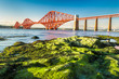 Coast at low tide near the Firth of Forth Bridge in Scotland