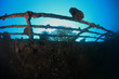 Schiffswrack