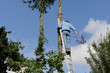 Foto: Tanne vor der Fällung absichern Tanne vor der Fällung absichern