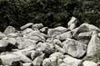 Foto: Felsenmeer in Lautertal im Odenwald Felsenmeer in Lautertal im Odenwald