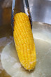 Pick up corn boil