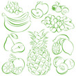 Fruit