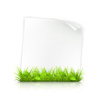 Grass and paper