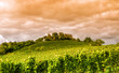 Weingut an der hessischen Bergstraße
