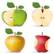 Vector: Pomme_x4_V2 Pomme_x4_V2