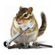 Photo: craftsman chipmunk with wrench craftsman chipmunk with wrench