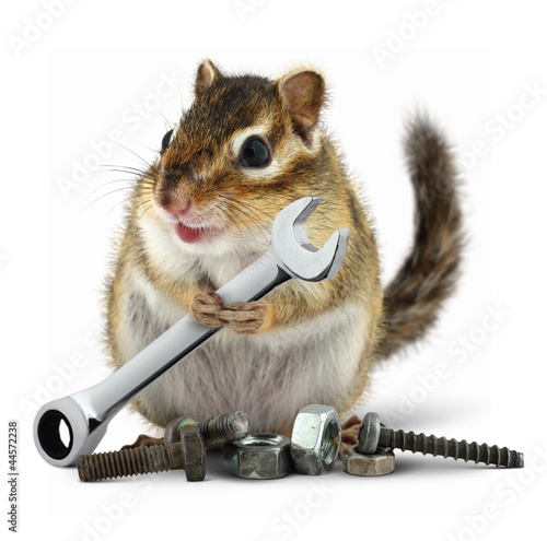 Photo: craftsman chipmunk with wrench craftsman chipmunk with wrench