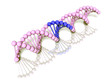 DNA