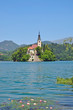 die kleine Kircheninsel im Bleder See
