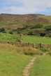 Pennine Way towards Edale