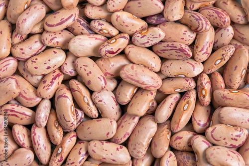 Photo: Cranberry Bean Cranberry Bean
