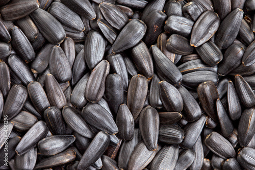 Photo: Sunflower seeds background Sunflower seeds background