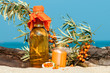 Foto: Sanddorn, norddeutsche Spezialitäten, Hippophae rhamnoides Sanddorn, norddeutsche Spezialitäten, Hippophae rhamnoides