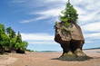 Photo: Hopewell Rocks at low tide, Fundy bay (Canada) Hopewell Rocks at low tide, Fundy bay (Canada)