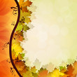 Fall leafs abstract background