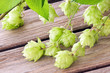 Hopfen