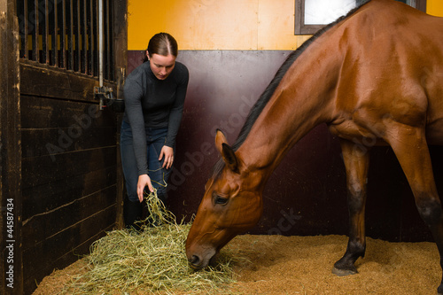 Photo: Woman feeding horse Woman feeding horse