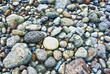 rocky beach on acores archipelago