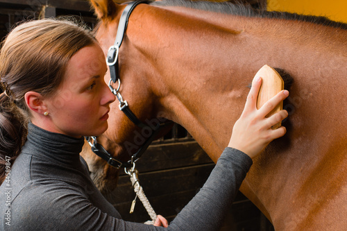 Photo: Grooming horse Grooming horse