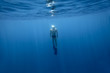 Freediving Freediving