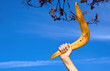 Boomerang in front of a blue sky