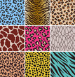 animal seamless skin pattern fabric