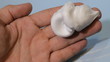 shaving cream hand close up