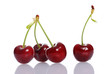 Foto: cherries cherries