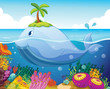 fish, island and coral in the sea