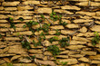 Photo: Stone wall and green plants Stone wall and green plants